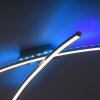 Leuchten-Direkt ALINA Plafondlamp LED Staal geborsteld, 2-lichts, Afstandsbediening, Kleurwisselaar