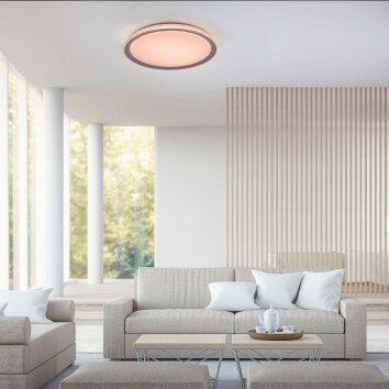 Leuchten-Direkt LOLAsmart-KARI Plafondlamp LED Zilver, 1-licht, Afstandsbediening, Kleurwisselaar