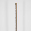 Rodeche Staande lamp LED Goud, 1-licht
