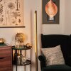Rodeche Staande lamp LED Goud, 1-licht