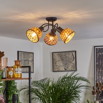 Aeschi Plafondlamp Natuurlijke kleuren, Zwart, 3-lichts