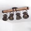 Aduard Plafondlamp Bruin, Zwart, 4-lichts
