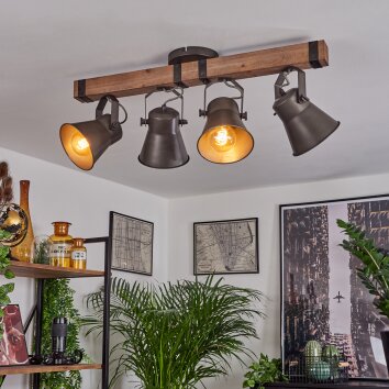 Aduard Plafondlamp Bruin, Zwart, 4-lichts