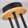 Ballis Plafondlamp Natuurlijke kleuren, Zwart, 3-lichts