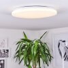 Weesen Plafondpaneel LED Wit, 1-licht, Bewegingsmelder