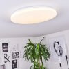 Weesen Plafondpaneel LED Wit, 1-licht, Bewegingsmelder