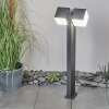 Swanek Padverlichting LED Antraciet, 1-licht