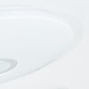 Bellach Plafondpaneel LED Wit, 1-licht