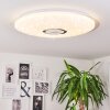 Bellach Plafondpaneel LED Wit, 1-licht