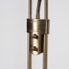 Rom Staande lamp LED Oud messing, 2-lichts