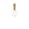 Ideallux PETIT Plafondlamp Messing, 1-licht