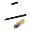 Philips Hue White & Color Ambiance Ensis Hanglamp LED Zwart, 2-lichts, Kleurwisselaar