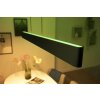 Philips Hue White & Color Ambiance Ensis Hanglamp LED Zwart, 2-lichts, Kleurwisselaar
