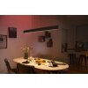 Philips Hue White & Color Ambiance Ensis Hanglamp LED Zwart, 2-lichts, Kleurwisselaar