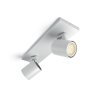 Philips Hue Ambiance White Runner Plafondspot basisset LED Wit, 2-lichts, Afstandsbediening