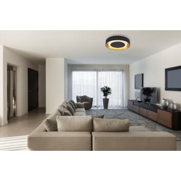 Globo CLARKE Plafondlamp LED Zwart, 1-licht