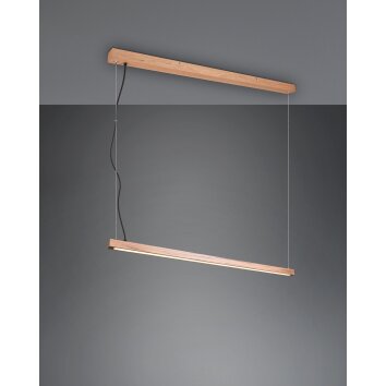 Trio-Leuchten Bellari Hanglamp LED Bruin, 1-licht