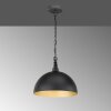 Fischer-Honsel Leitung Hanglamp Zwart, 1-licht