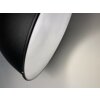 Fischer-Honsel Thor Hanglamp Zwart, 1-licht
