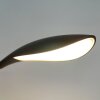 Fischer-Honsel Nil Tafellamp LED Zwart, 1-licht