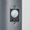 Sessa Padverlichting Antraciet, 1-licht, Bewegingsmelder