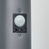 Sessa Padverlichting Antraciet, 1-licht, Bewegingsmelder