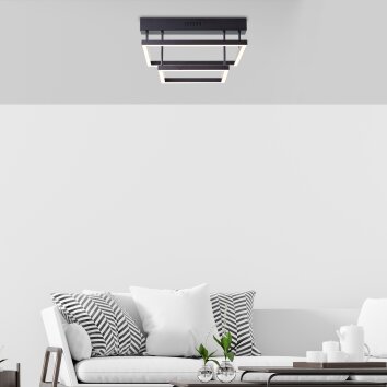 Brilliant Ranut Plafondlamp LED Zwart, 2-lichts