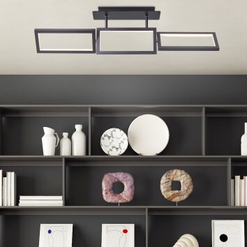 Brilliant Ranut Plafondlamp LED Zwart, 3-lichts