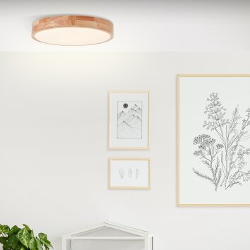 Brilliant Slimline Plafondlamp LED Wit, 1-licht