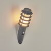 Tunes Buiten muurverlichting Antraciet, 1-licht, Bewegingsmelder
