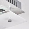 Liestal Plafondlamp LED Nikkel mat, 1-licht