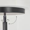 Busswil Staande lamp LED Zwart, 2-lichts