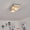 Liestal Plafondlamp LED Nikkel mat, 2-lichts