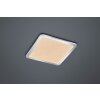 Trio-Leuchten Cinzia Plafondpaneel LED Chroom, 1-licht