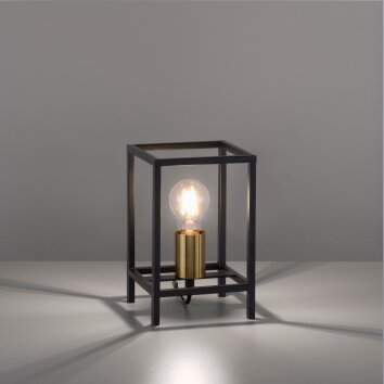 Leuchten-Direkt FABIO Tafellamp Messing, Zwart, 1-licht