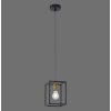 Leuchten-Direkt FABIO Hanglamp Zwart, 1-licht