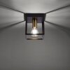 Leuchten-Direkt FABIO Plafondlamp Messing, Zwart, 1-licht