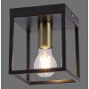 Leuchten-Direkt FABIO Plafondlamp Messing, Zwart, 1-licht