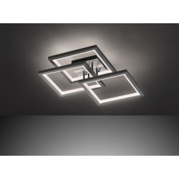 Wofi-Leuchten MURIEL Plafondlamp LED Grijs, 1-licht