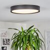 Nexo Plafondlamp LED Zwart, 1-licht