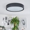 Nexo Plafondlamp LED Zwart, 1-licht