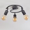 Ermatingen Plafondlamp Donkerbruin, Nikkel mat, 3-lichts