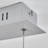 Bernese Hanglamp LED Nikkel mat, 3-lichts