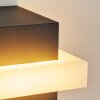 Lisalara Buiten muurverlichting LED Antraciet, Wit, 1-licht
