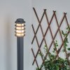 Tunes Padverlichting Antraciet, 1-licht