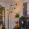 Bardhaman Staande lamp Zwart, 5-lichts