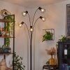 Bardhaman Staande lamp Zwart, 5-lichts