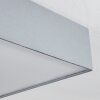 Tise Plafondlamp Grijs, Wit, 3-lichts