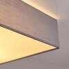 Tise Plafondlamp Grijs, Wit, 3-lichts