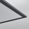 Salmi Plafondpaneel LED Zwart, Wit, 2-lichts
